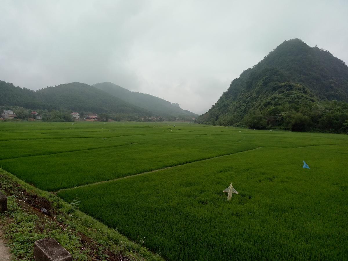 Phong Nha Rice Field Homestay Eksteriør bilde