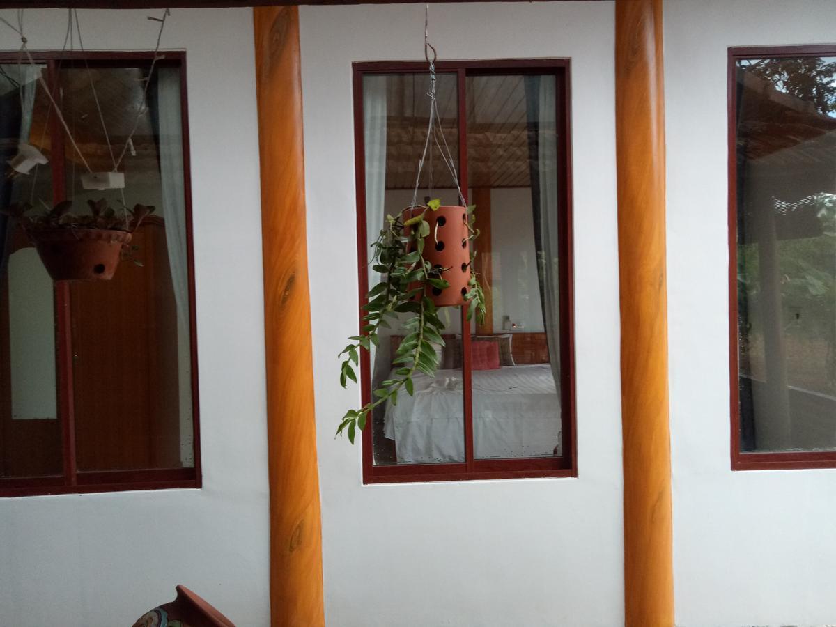 Phong Nha Rice Field Homestay Eksteriør bilde