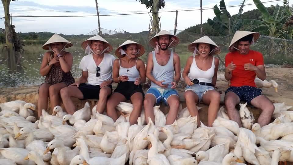 Phong Nha Rice Field Homestay Eksteriør bilde