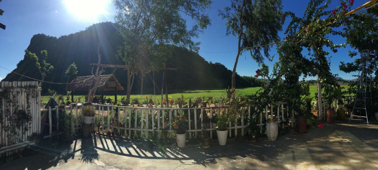 Phong Nha Rice Field Homestay Eksteriør bilde
